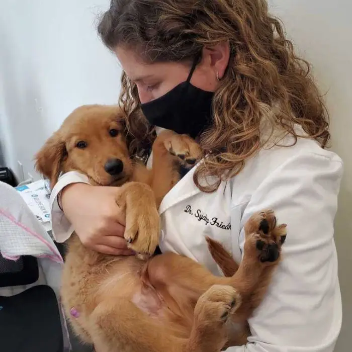 Dr. Friedman with puppy Dr. Friedman with puppy