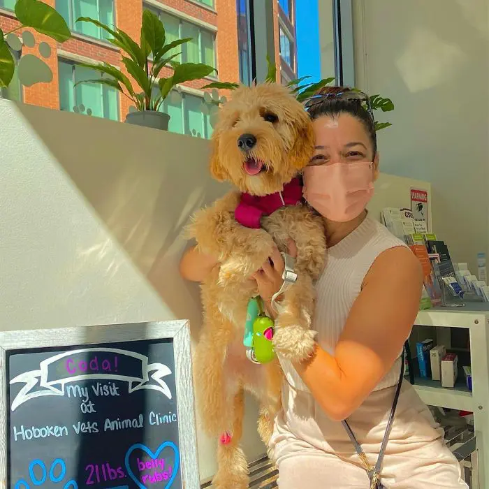 puppy with staff puppy with staff