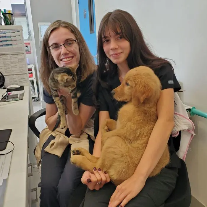 staff with pets staff with pets