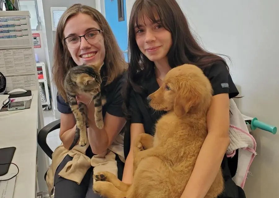 G2 Two vet assistants holding a cat and dog