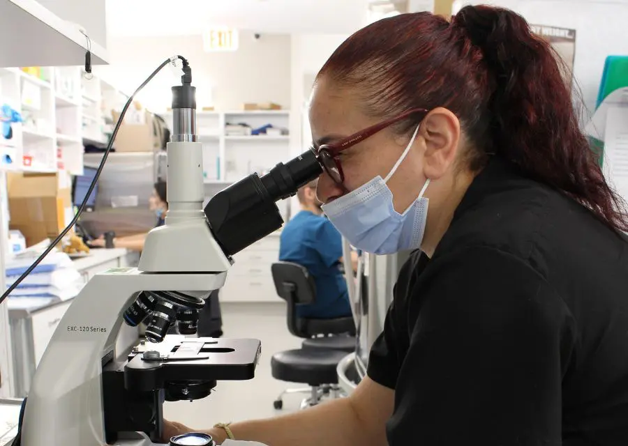 G3 Vet assistant looking through a microscope