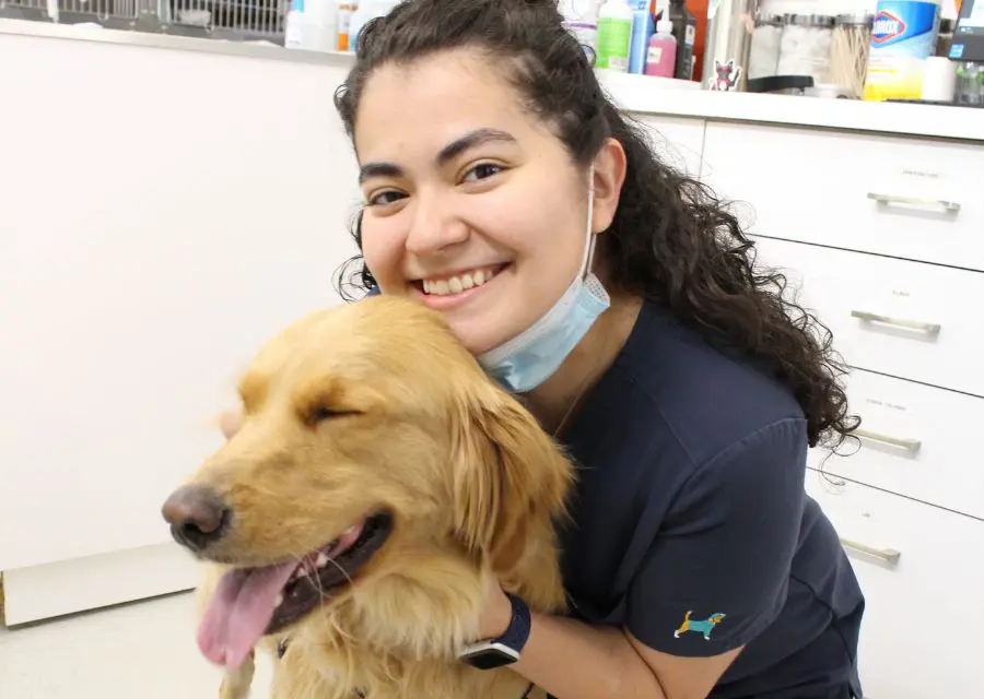 G9 Vet assistant with a Golden Retriever
