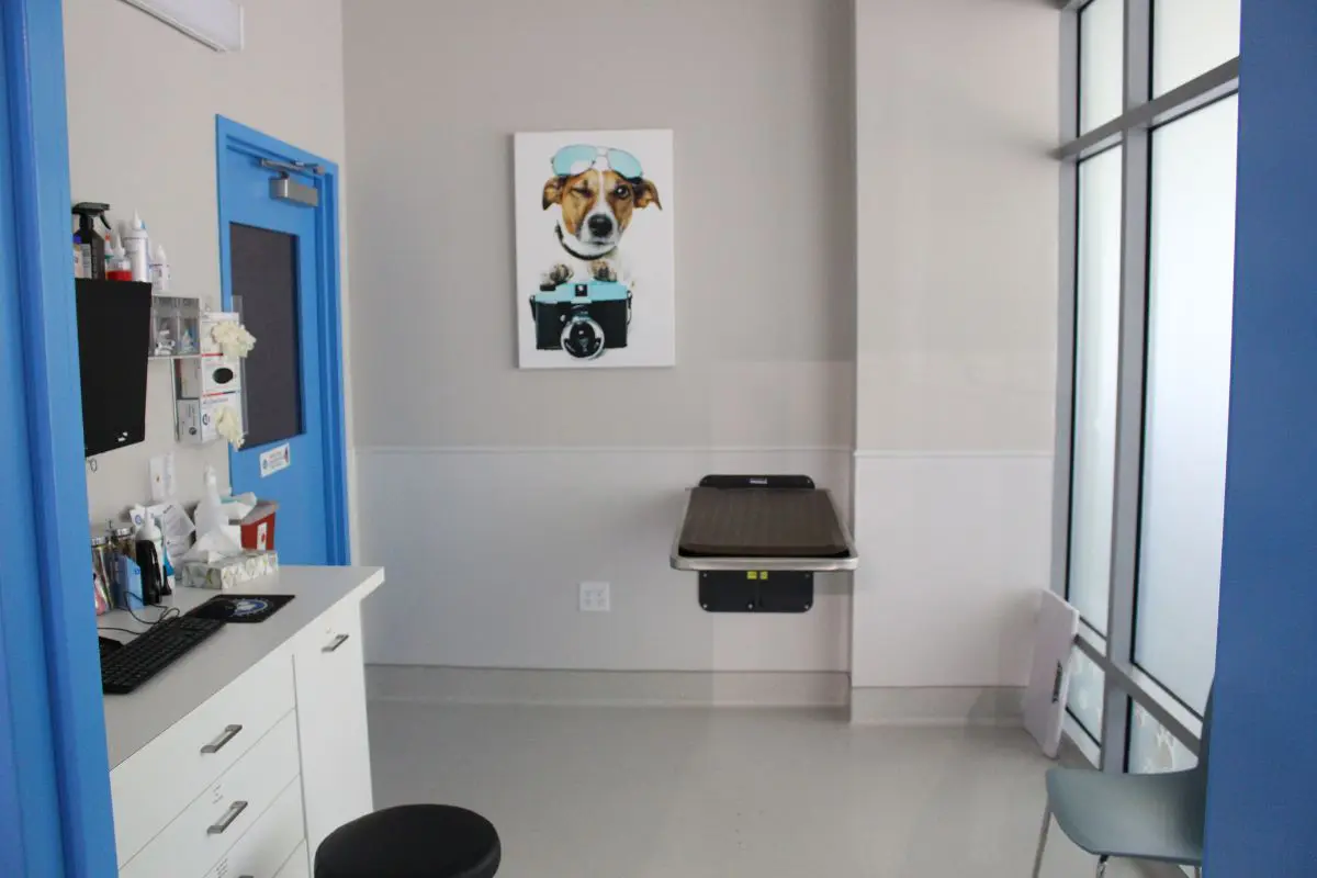 Hospital Tour – Dog Exam Room Hospital Tour - Dog Exam Room