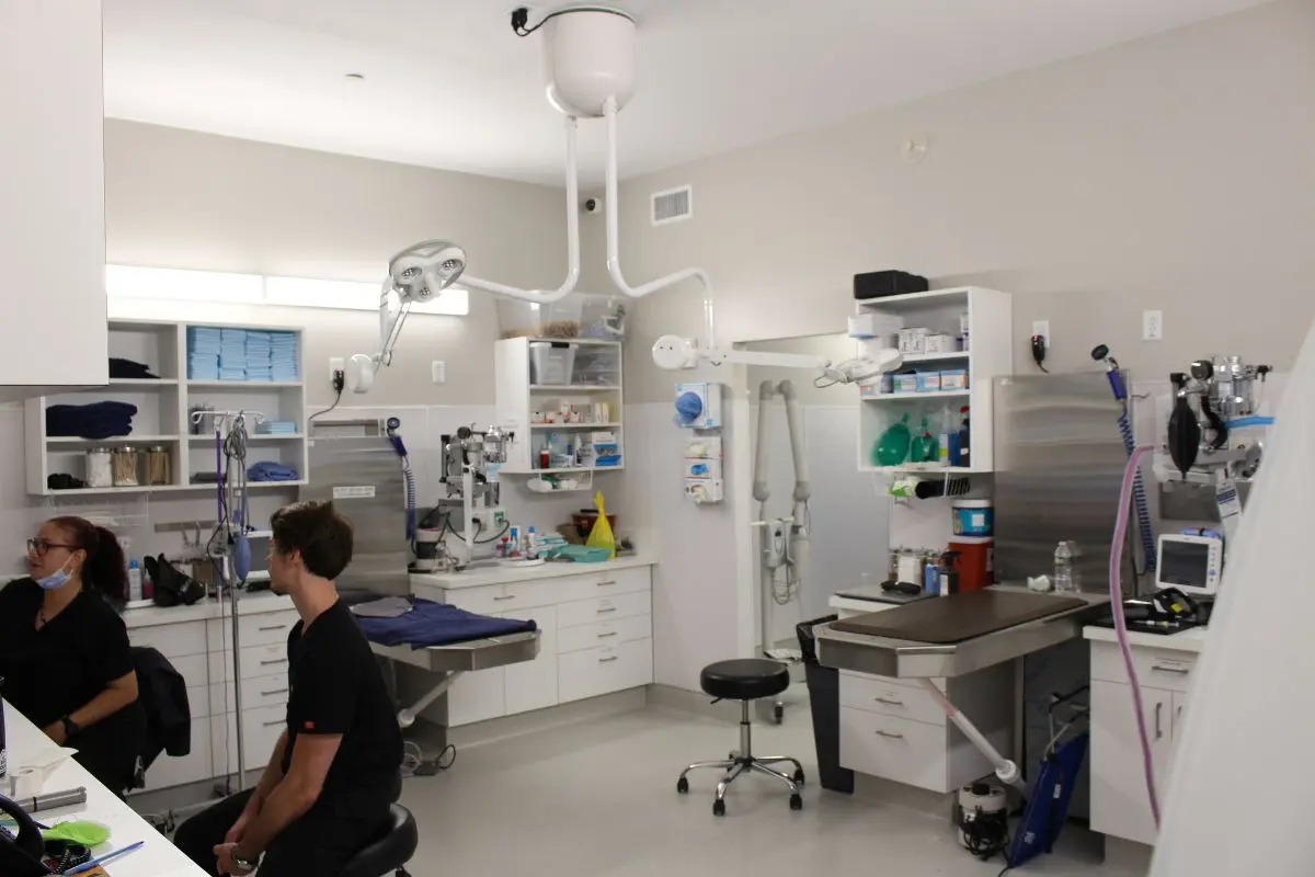 Hospital Tour – Treatment Area Hospital Tour - Treatment Area