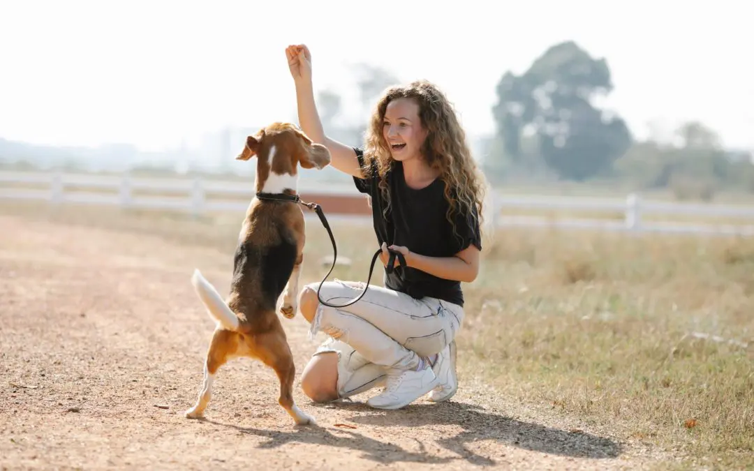 Curly haired woman giving dog treat outside