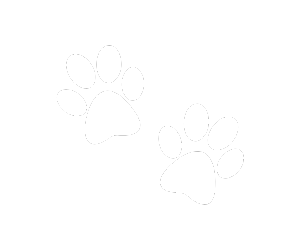 Pet-Care