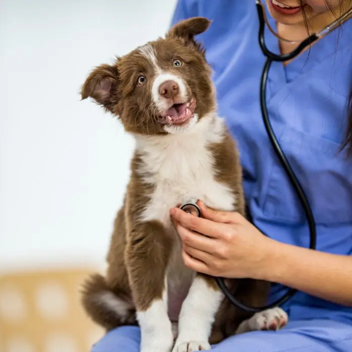 preventative care