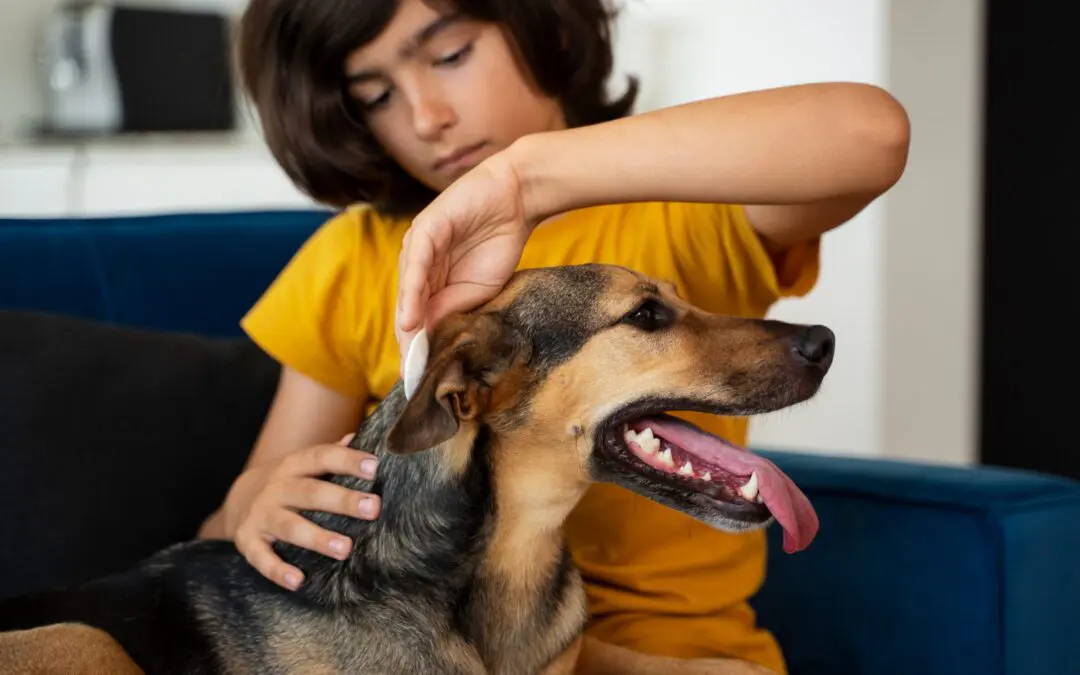 Why Flea, Tick & Heartworm Prevention Matters — Even for Indoor Pets