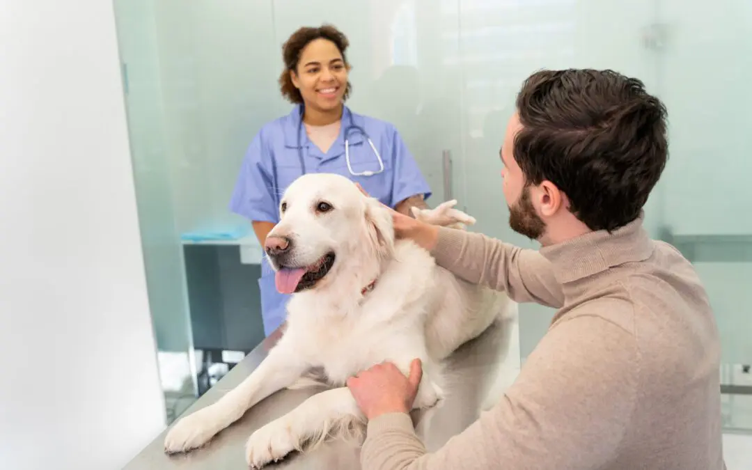 Why Hoboken Vets Believes in Preventative Medicine, Gold-Standard Care, and Full Transparency