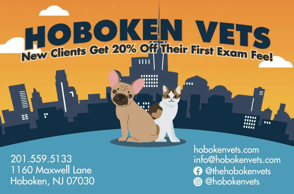 New clients get 20% off