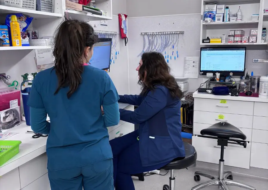 3 Two women in scrubs collaborate at computers in a laboratory