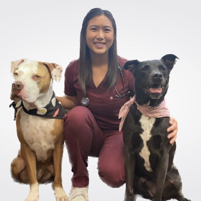 Hoboken, NJ 07030 Veterinarians Hoboken Vets Animal Clinic