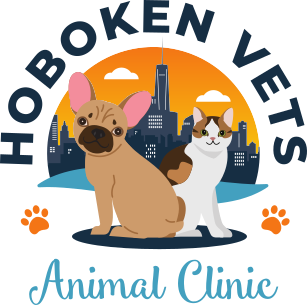 Hoboken Vets Animal Clinic