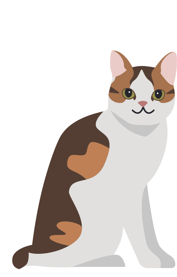 Title Animal 1