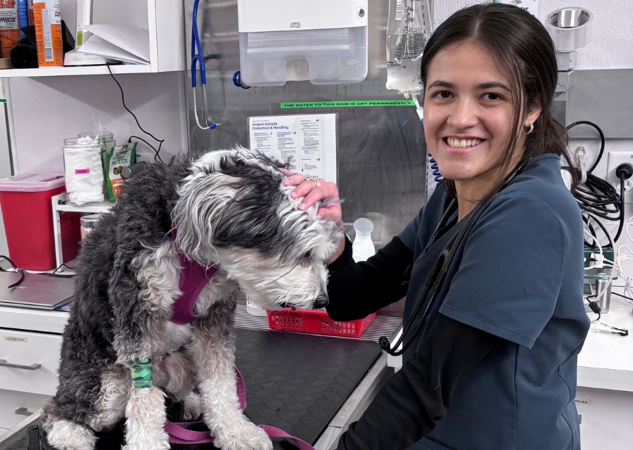 Veterinarian smiling while gently petting a seated, fluffy dog