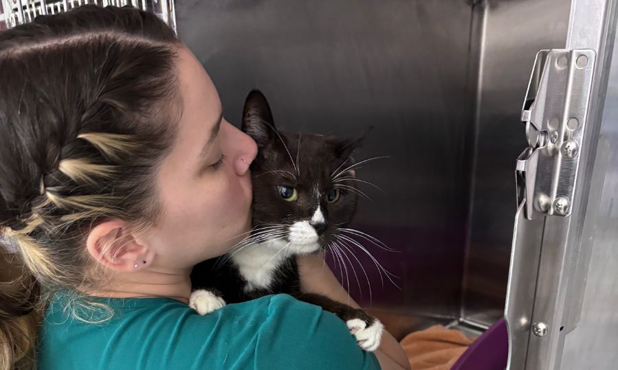 A woman gently kisses a cat