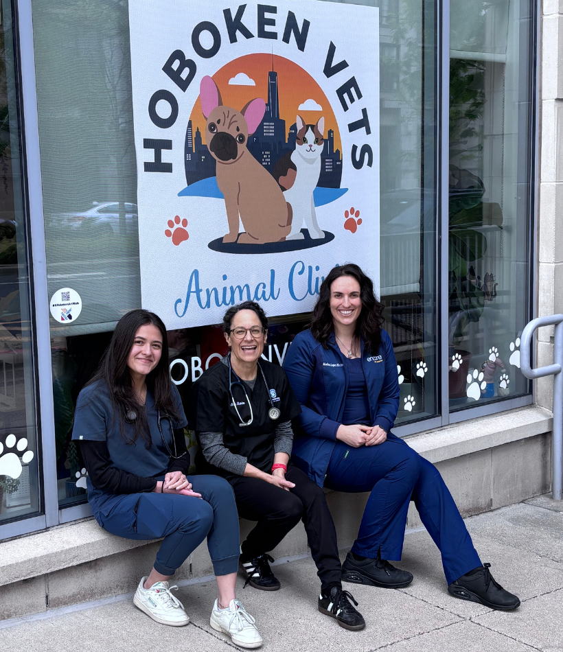 staff with great dane