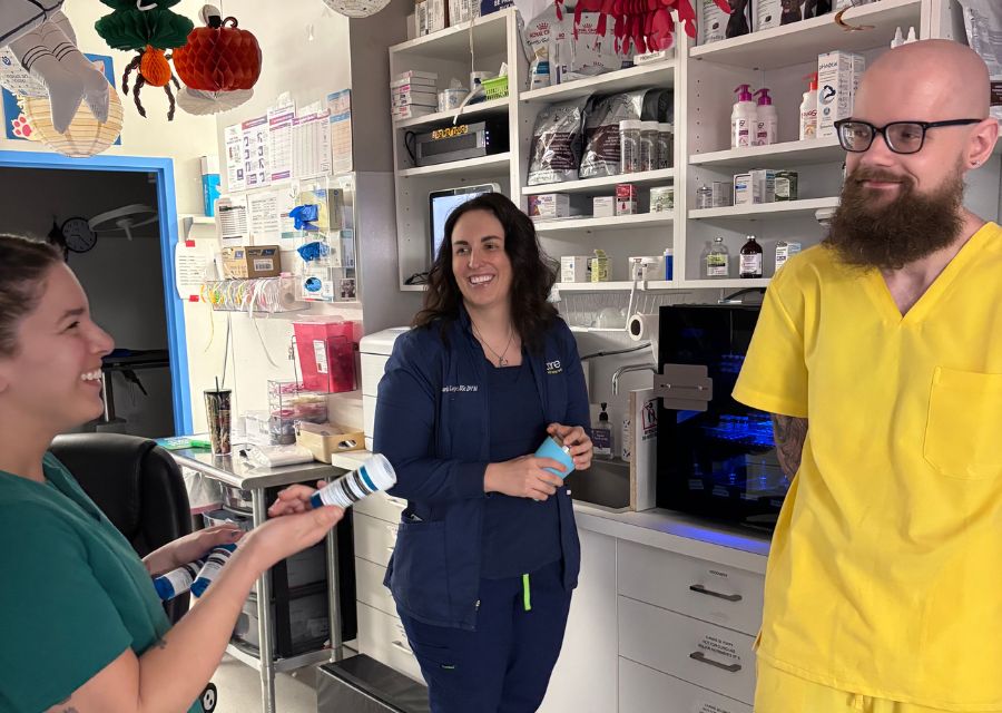 Two healthcare professionals in scrubs engaged in conversation